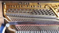 Lauberger & Gloss Strauss Konzert Pianino Piano - KGB [Today, 9:16 am]