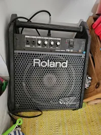 Roland PM10 V drum Dobmonitor - reducer75 [Ma, 10:41]