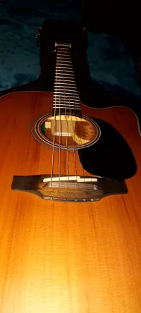Takamine GD20CE