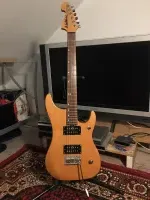 Washburn N1 Washburn N1
