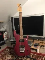 Washburn N2