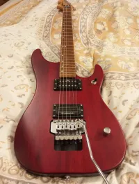 Washburn N2