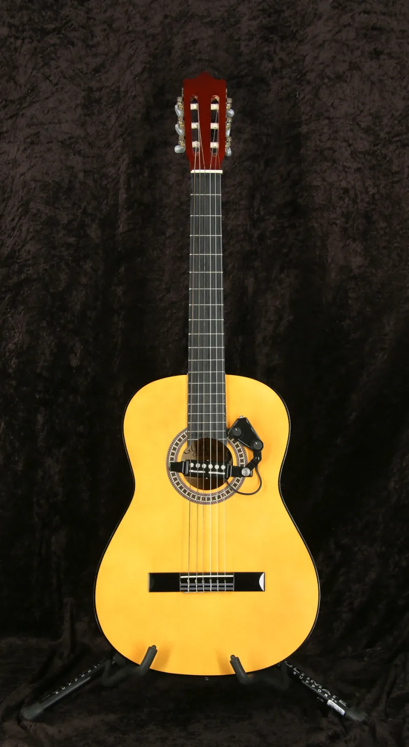 - MSA Classic guitar