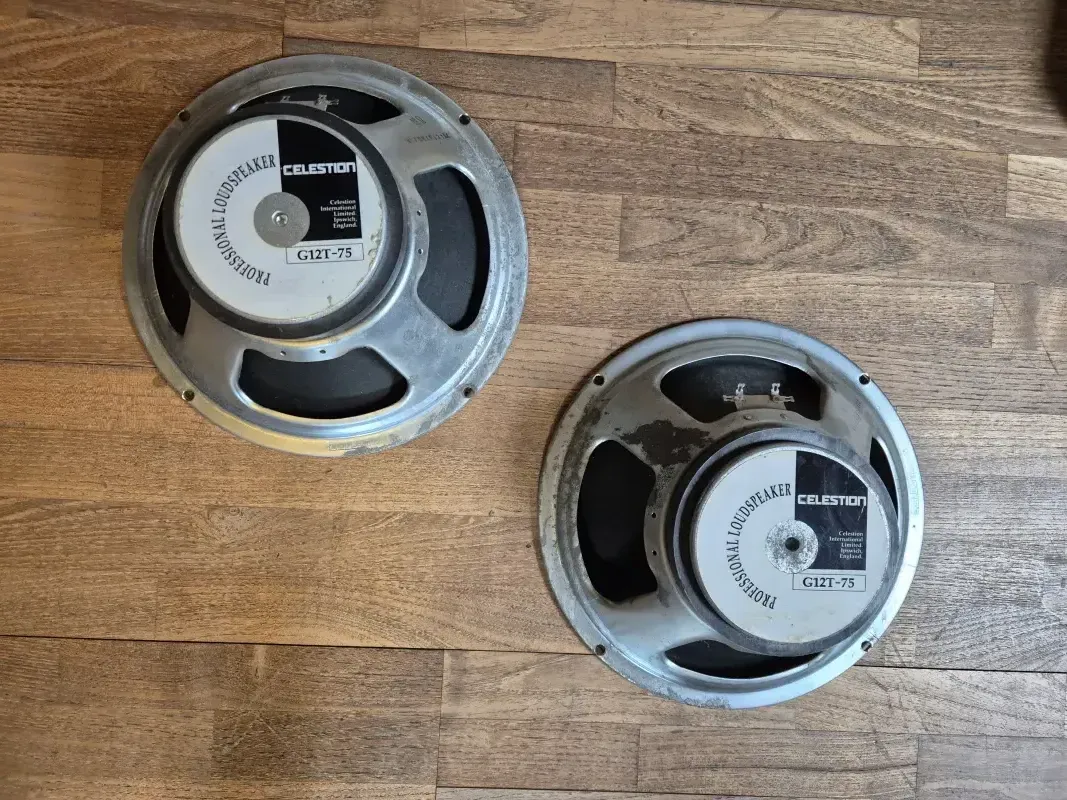 Celestion G12T-75 Altavoz
