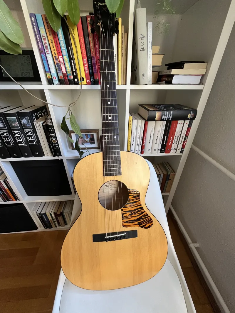 Collings Waterloo WL-14 Scissortail Akustická gitara
