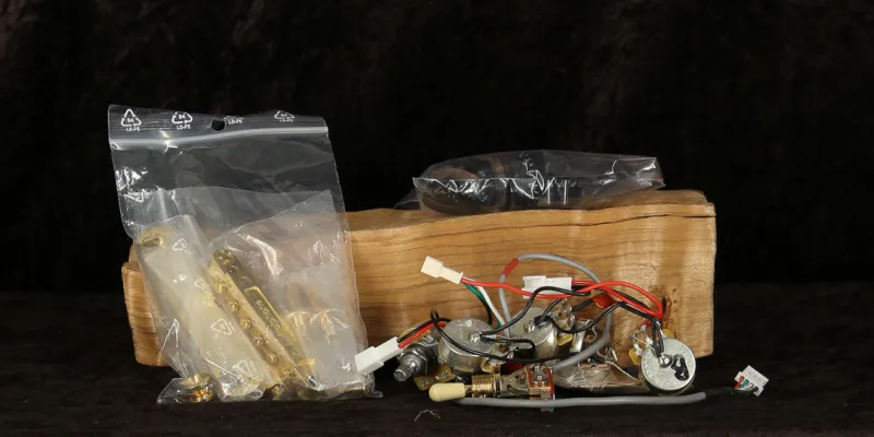 Epiphone Les Paul Custom Electronics