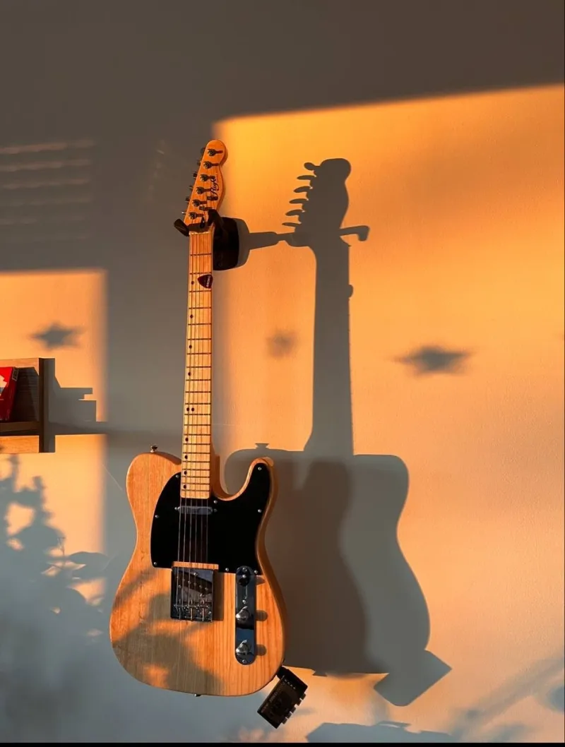 Flight TL-10 Electric guitar
