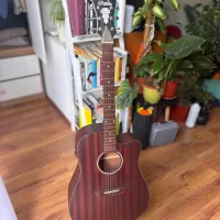 DAngelico Premier