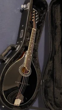 Eastman MD404 Mandolin - Számel Péter [Yesterday, 4:51 pm]