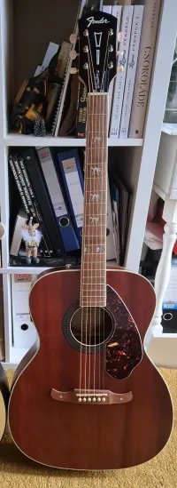 Fender Tim Armstrong Hellcat