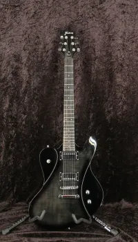 Framus FDS Idolmaker MIC