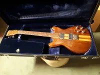 GRETSCH Comittee