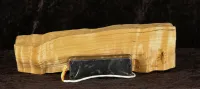 Ibanez Gary Willis 5H