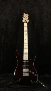 PRS Fiore 2023 Mark Lettieri