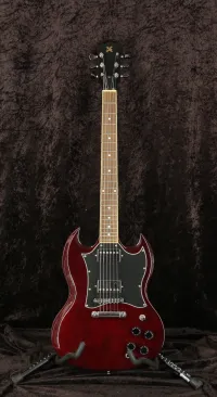 SX SG SX SG