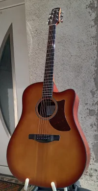 Ibanez AAD50-CE LBS
