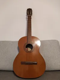 Ibanez Banus & spanyol gitár Ibanez Banus & spanyol gitár