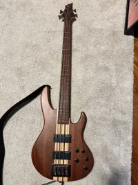 LTD Esp D-4NS LTD Esp D-4NS