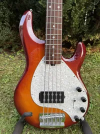 Music Man Stingray 5 Bass Gitarre - Paul [Today, 8:15 am]