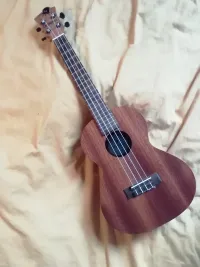 Octopus  Ukulele - L Csaba Bardócz [October 7, 2025, 6:19 pm]