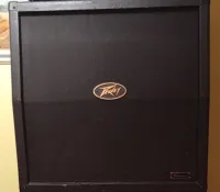 Peavey Windsor