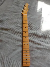 Squier Classic Vibe 50s telecaster Hals - nanbass [Yesterday, 7:16 pm]