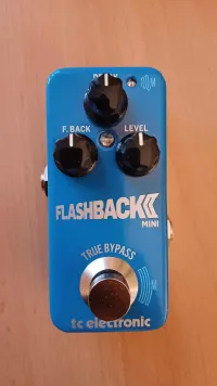 TC Electronic Flashback mini 2