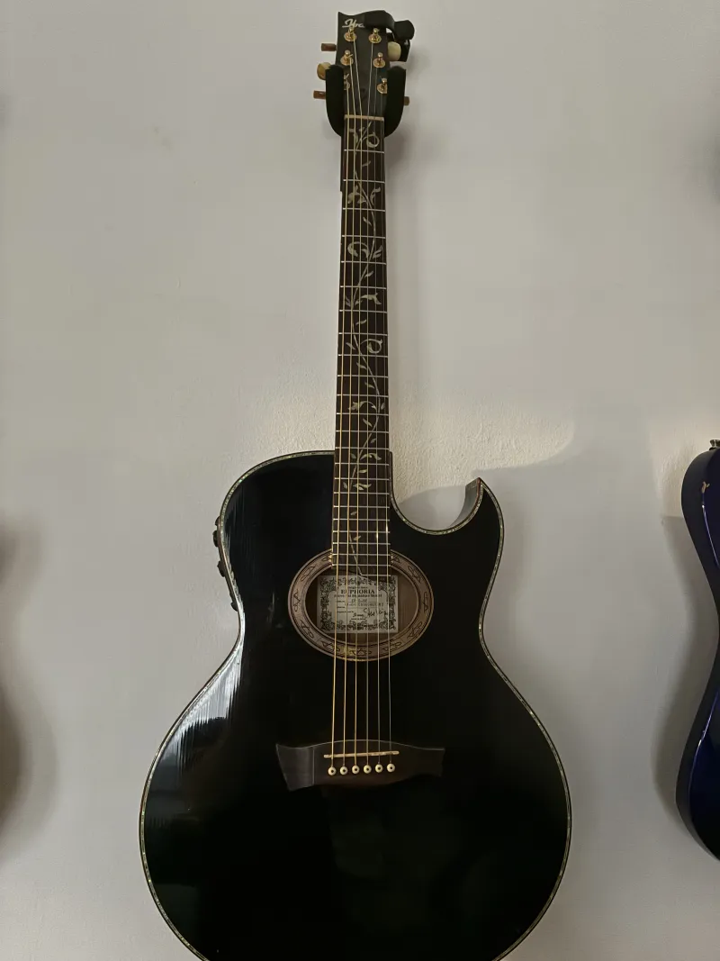 Ibanez EP10-BP Elektroakusztikus gitár Ibanez EP10-BP Elektroakusztikus gitár