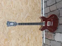 DAngelico Excel DC Tour E-Gitarre - kellemetlenarpad [Today, 12:50 pm]