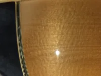 Fender F-65 Fender F-65
