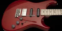 PRS FIORE MARK LETTIERI SIGNATURE PRS FIORE MARK LETTIERI SIGNATURE
