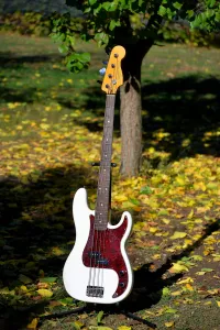 Squier CV60 Precision OW Basgitara - SÁrpi [Yesterday, 1:58 pm]