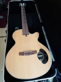 Cort Sunset Nylectric