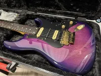 ESP S-800 Custom