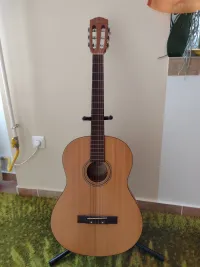 Fender ESC105 Fender ESC105