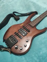 Hohner The Jack custom bass