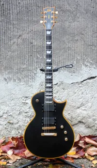 LTD EC-1000 VB LTD EC-1000 VB