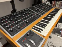 Moog ONE 8 Synthesizer - Analog82 [Today, 9:34 am]
