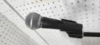 Shure SM58 LC Vocal microphone - Molnar Gergo Ozzy [Today, 1:42 pm]