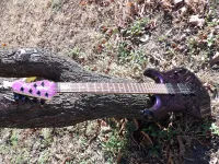 Sterling JP60 Mystic Dream GARIS NULLPERCES