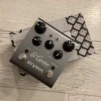 Strymon El Capistan tape echo V1 Verzögerung - Imightgetloud [Today, 9:16 am]