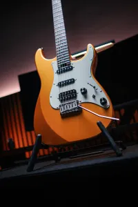 - Eart Guitars  DMX9 E-Gitarre - Szvirida András [Yesterday, 7:53 pm]