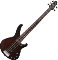Cort Arona 5 Bass guitar 5 strings - Ecker Károly [Yesterday, 9:10 pm]