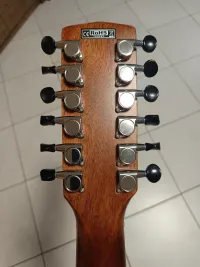 Cort Earth 7812 E NS