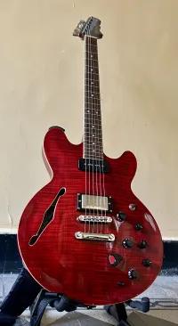 Fret-King Elise GG Black Label