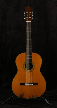 Ibanez GA40 Performance