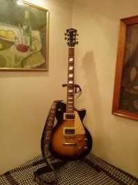 Johnson  Elektromos gitár - Mr. Peter Molnar [Ma, 16:41]