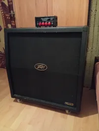 Peavey Windsor 412
