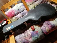 Spider Es 335 tok Gitártok [2025.11.14. 10:05]