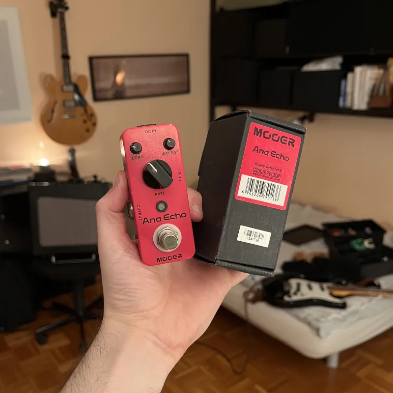 Mooer Ana Echo analóg Delay